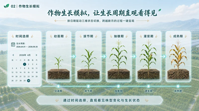 作物生长模拟，让生长周期直观看得见