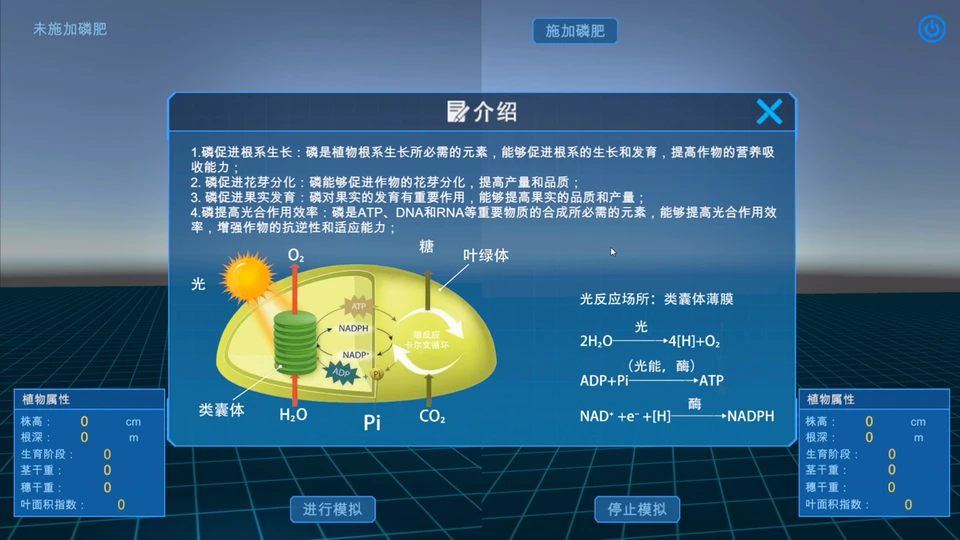 分子结构观察练习模块