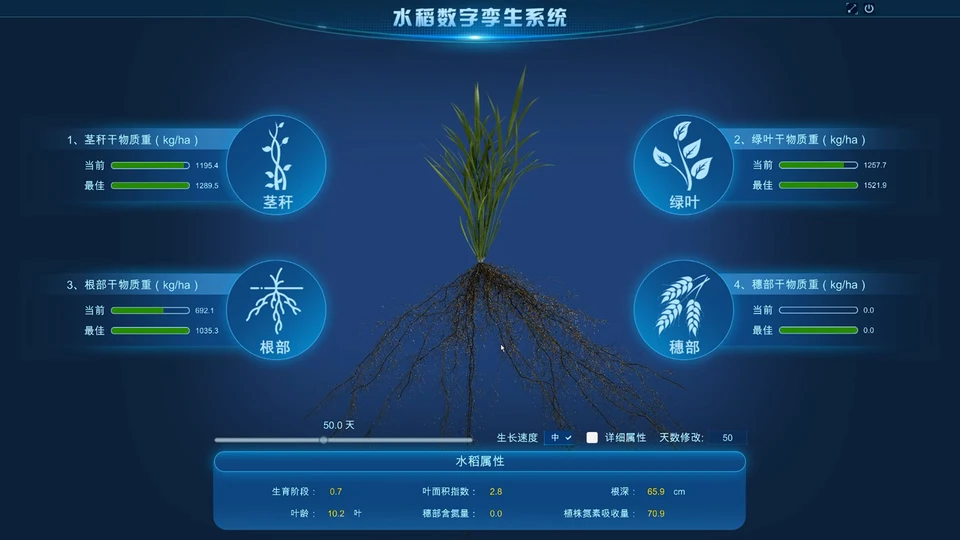 水稻数字孪生系统