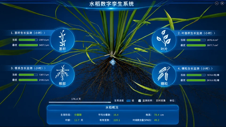 04.单株精细化三维展示