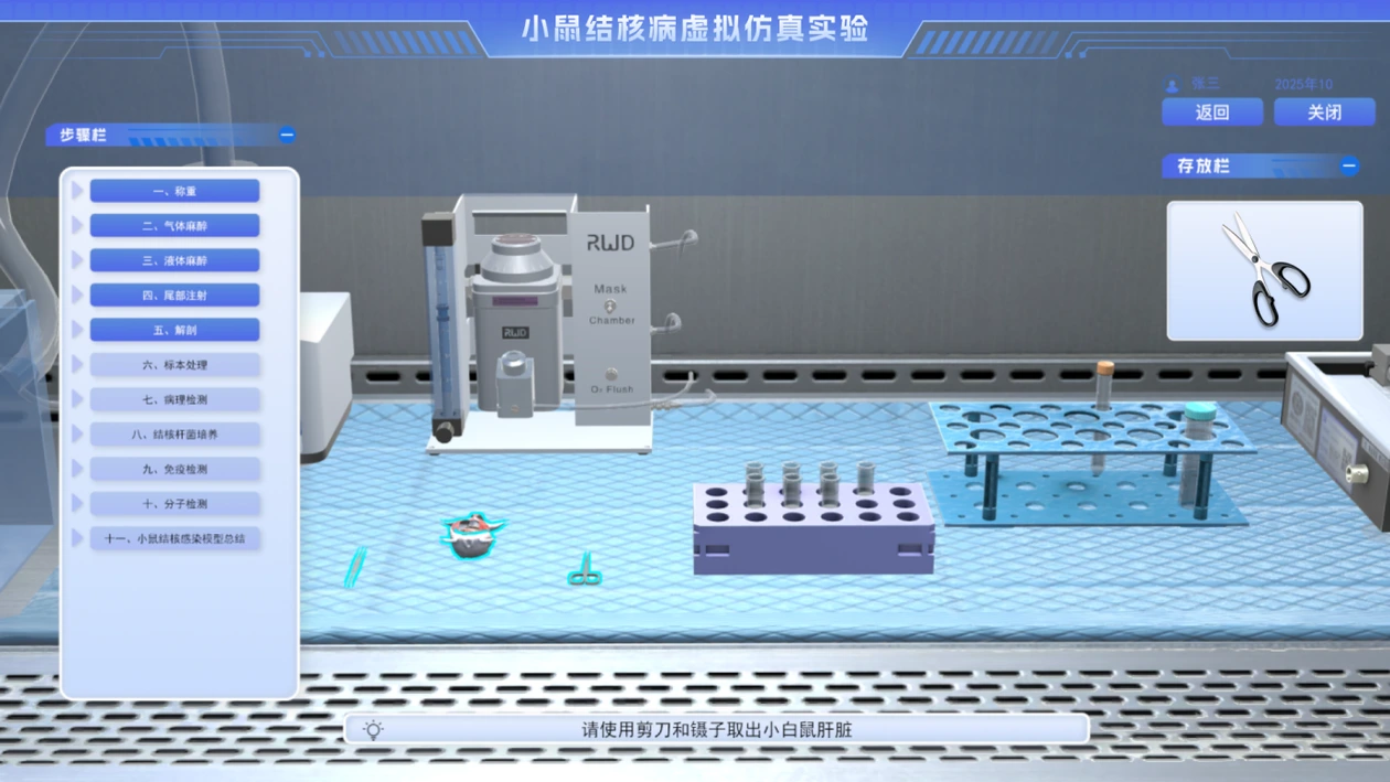 动物解剖（小鼠）虚拟仿真实验
