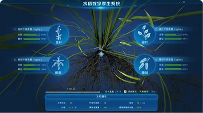 生长过程模拟