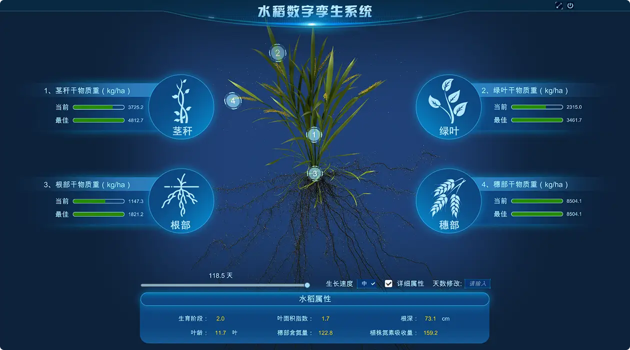 水稻数字挛生仿真实验