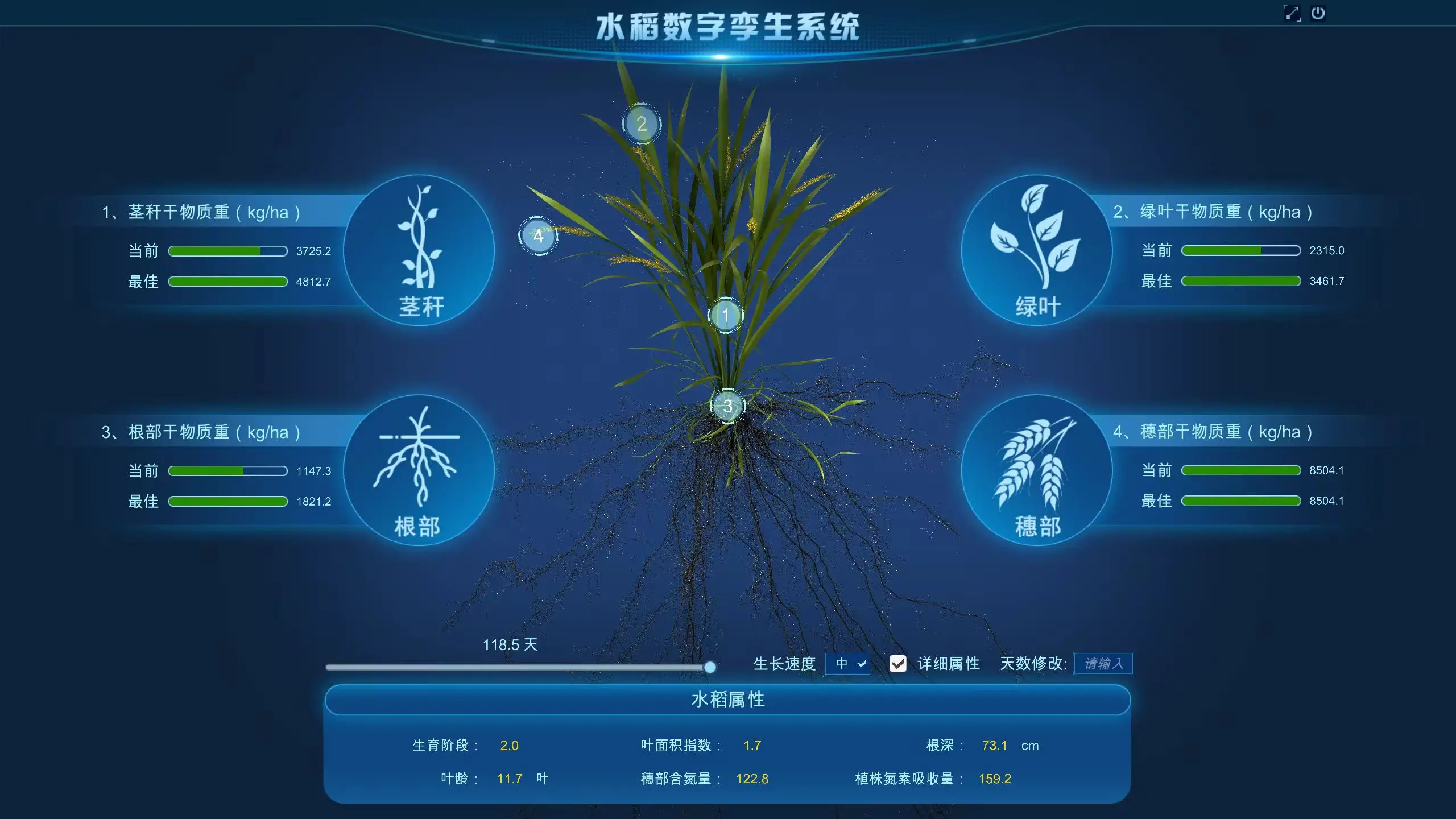 水稻数字孪生系统